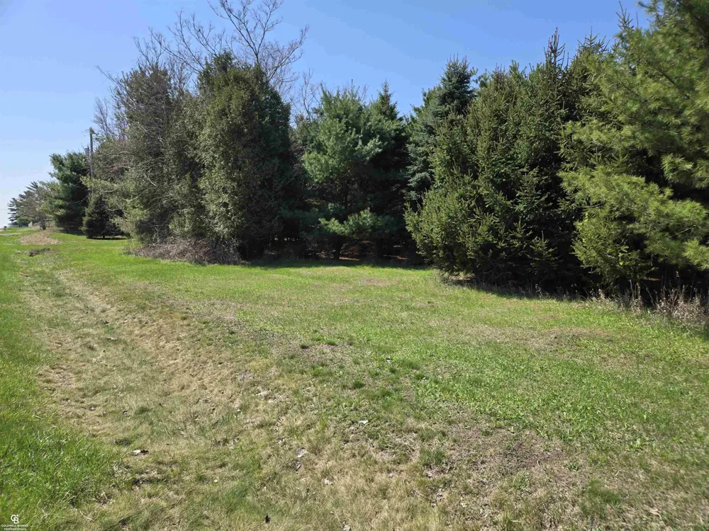 5834 Brockway Road Elk Township, MI 48466