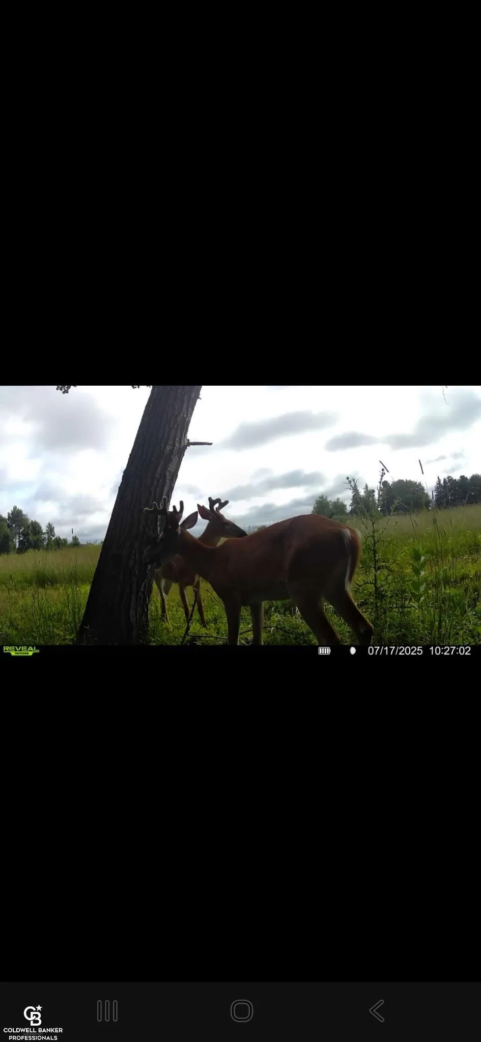 5834 Brockway Road Elk Township, MI 48466