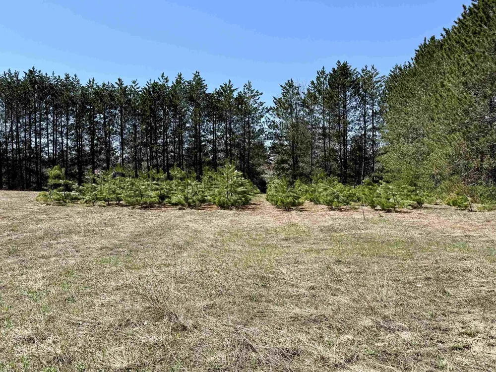 3044 S 29 ROAD Selma Township, MI 49601