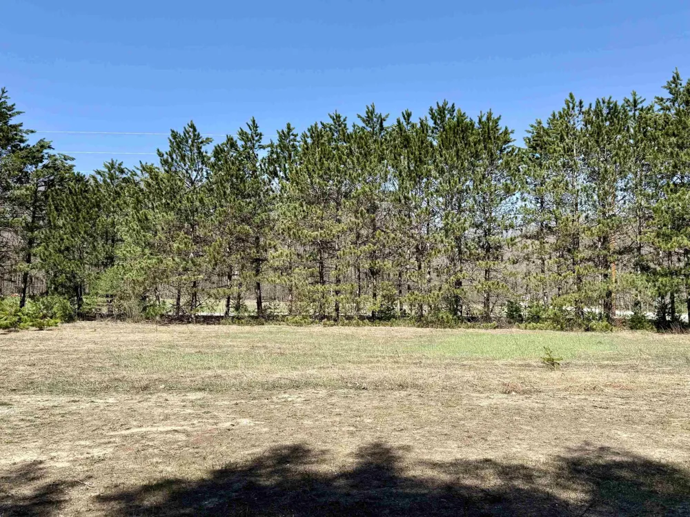 3044 S 29 ROAD Selma Township, MI 49601