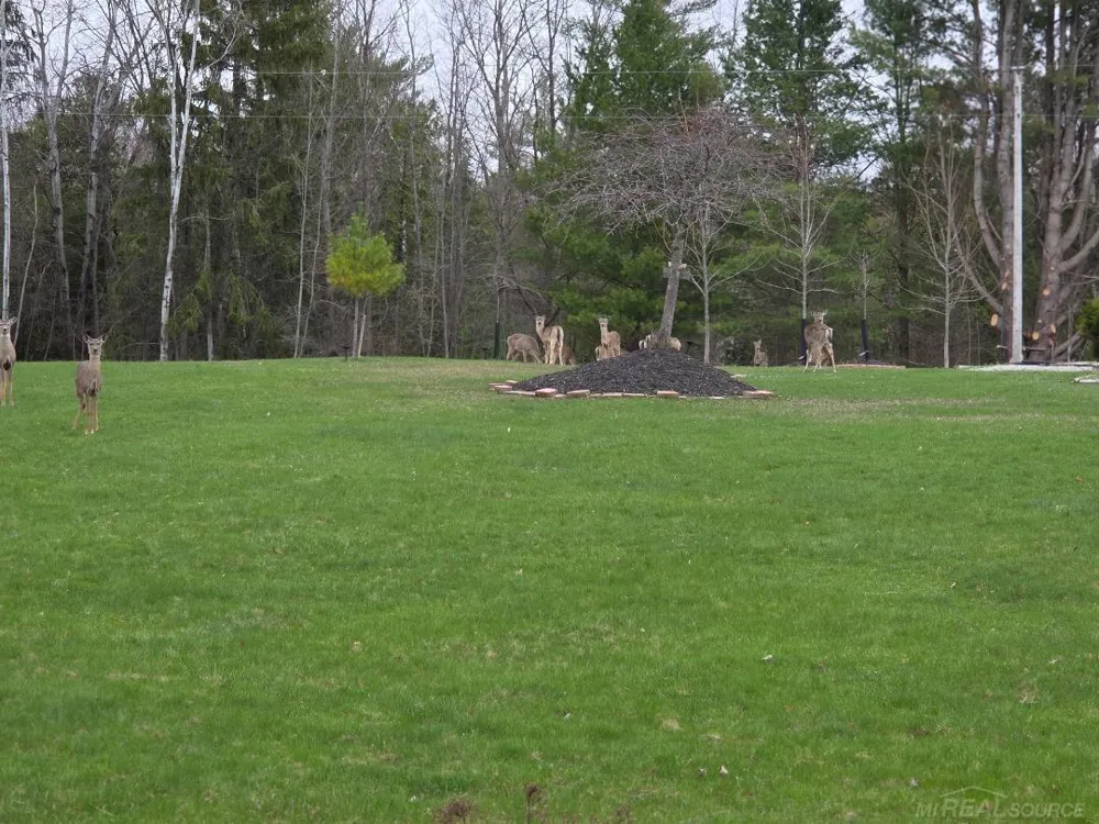 5700 Royal Court Court Butman Township, MI 48624