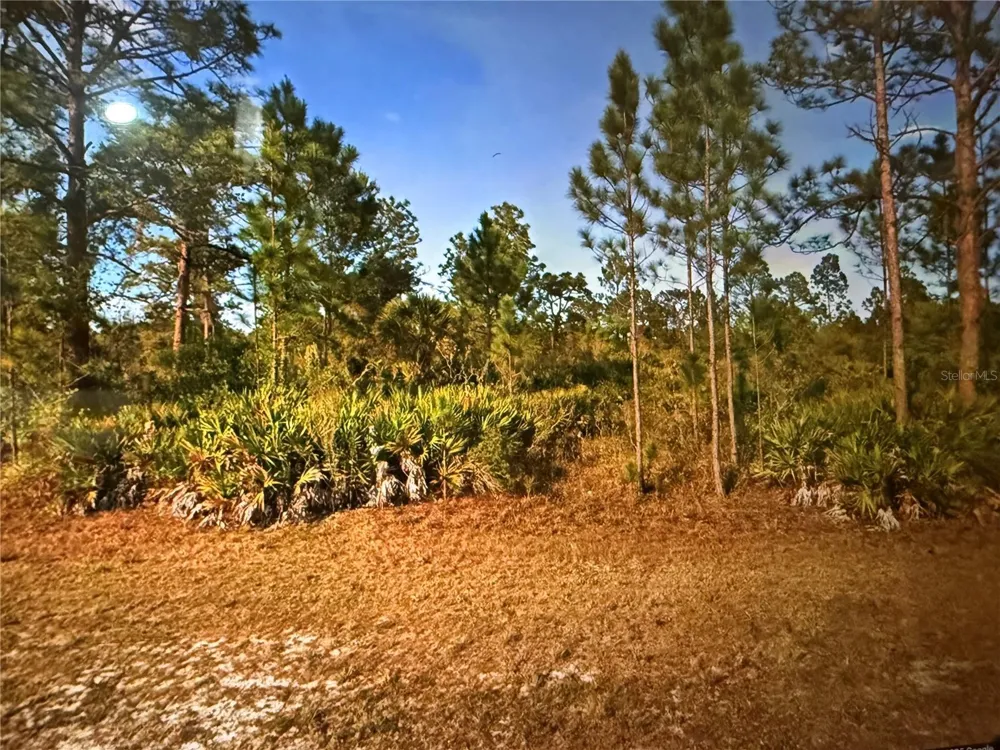 0 KEY WEST DRIVE Indian Lake Estates, FL 33855