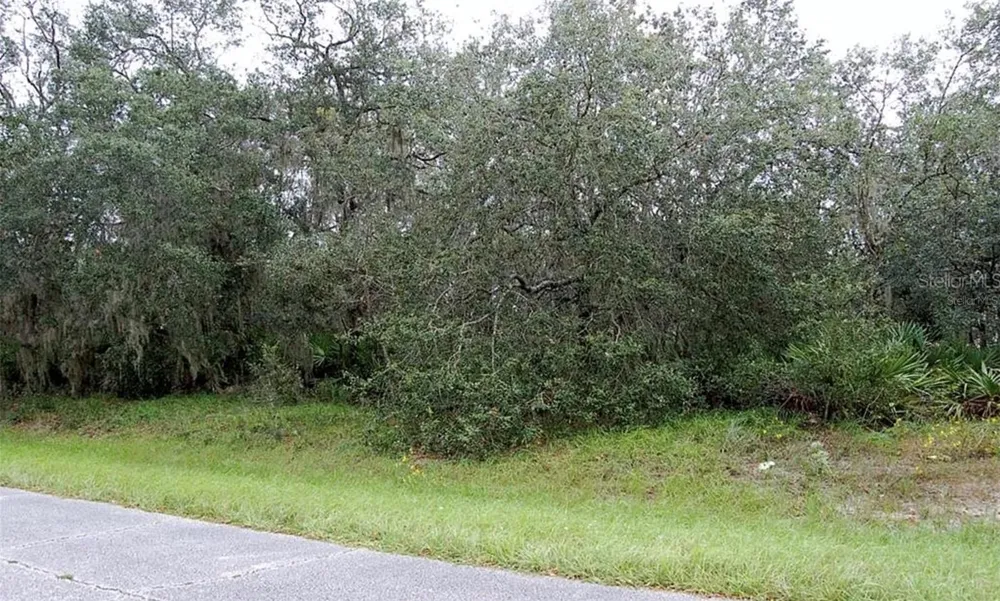 0 ST JOHNS COURT Poinciana, FL 34759