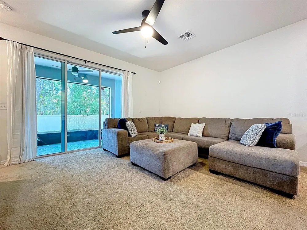 3313 PLEASANT WILLOW COURT Brandon, FL 33511