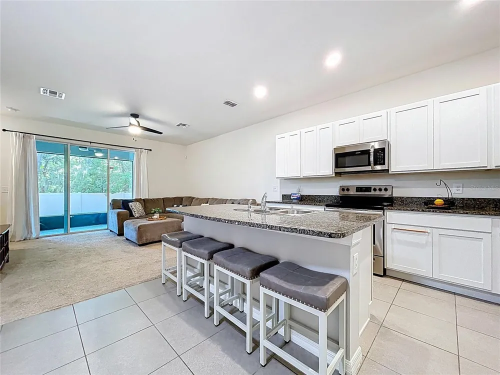 3313 PLEASANT WILLOW COURT Brandon, FL 33511