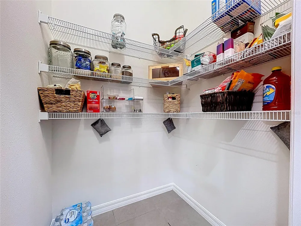 3313 PLEASANT WILLOW COURT Brandon, FL 33511