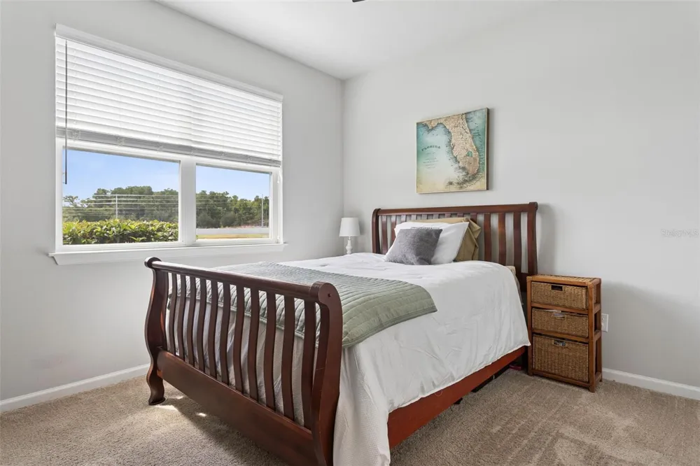 4317 CLOUD HOPPER WAY Lutz, FL 33559