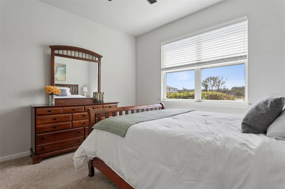 4317 CLOUD HOPPER WAY Lutz, FL 33559