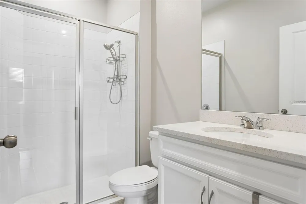 4317 CLOUD HOPPER WAY Lutz, FL 33559