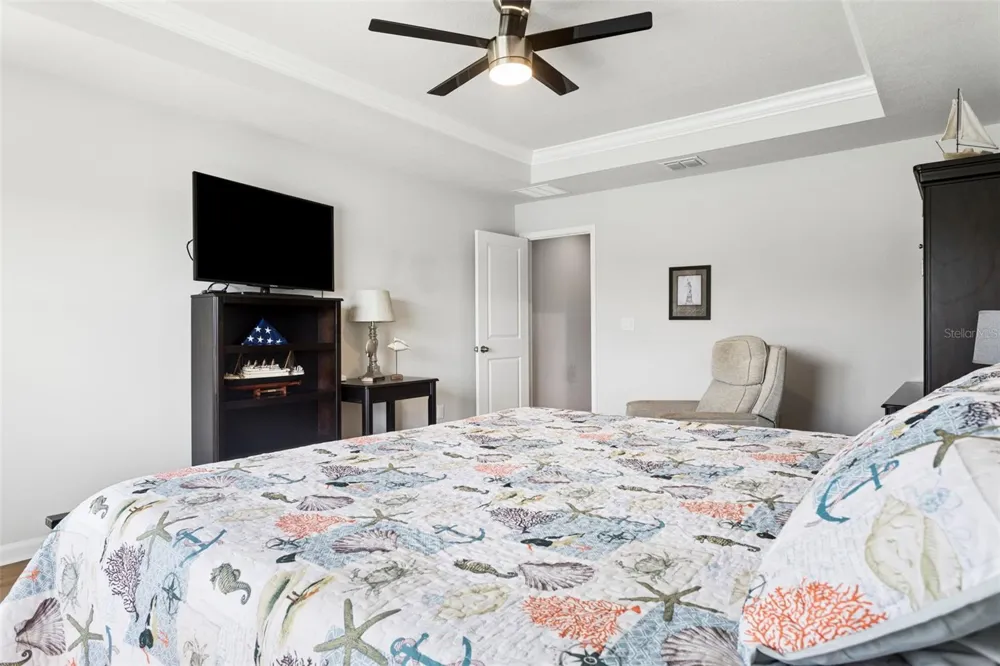 4317 CLOUD HOPPER WAY Lutz, FL 33559