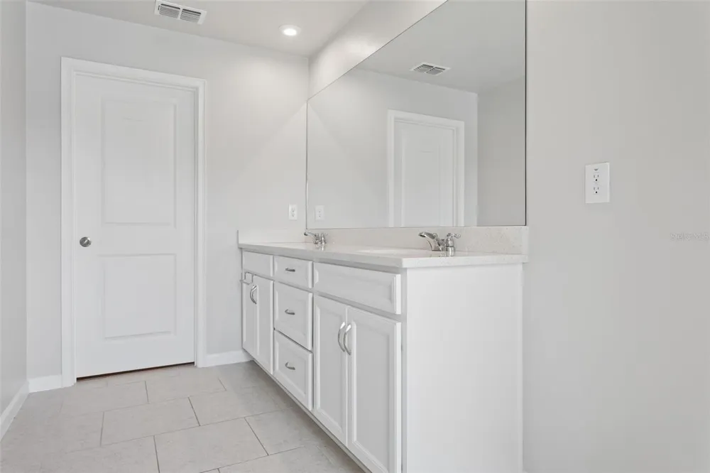 4317 CLOUD HOPPER WAY Lutz, FL 33559