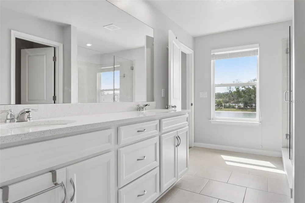 4317 CLOUD HOPPER WAY Lutz, FL 33559