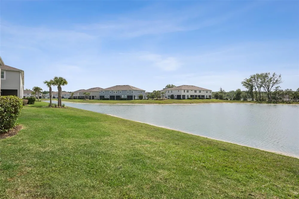 4317 CLOUD HOPPER WAY Lutz, FL 33559