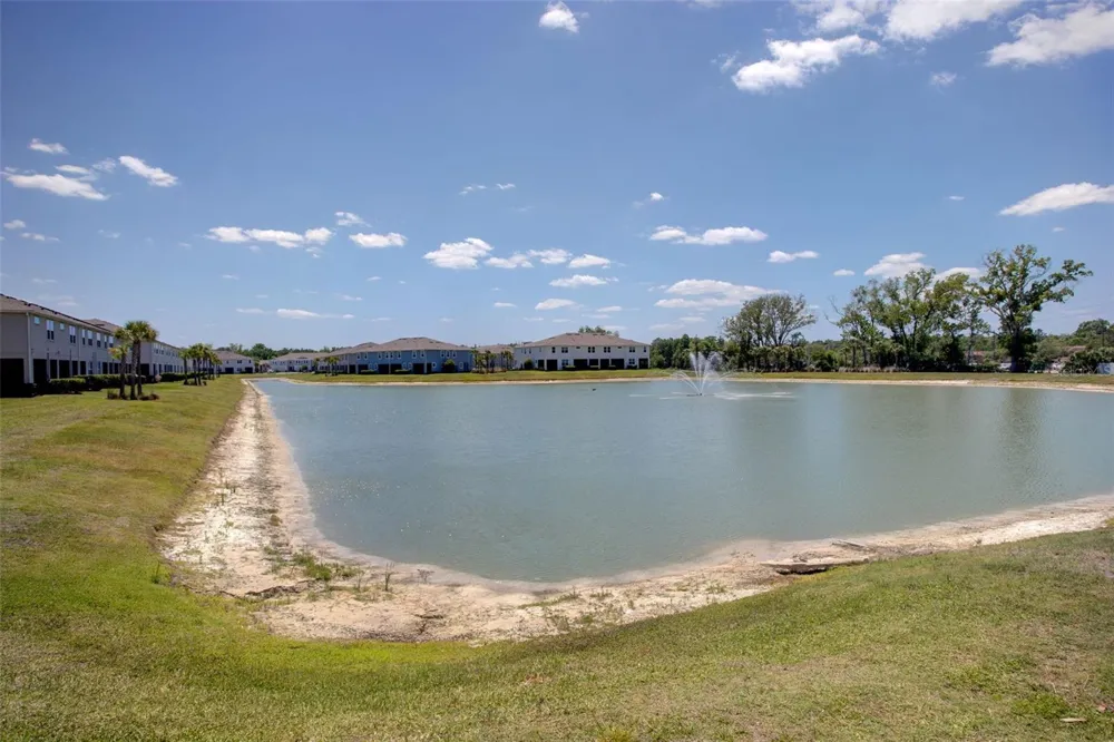 4317 CLOUD HOPPER WAY Lutz, FL 33559
