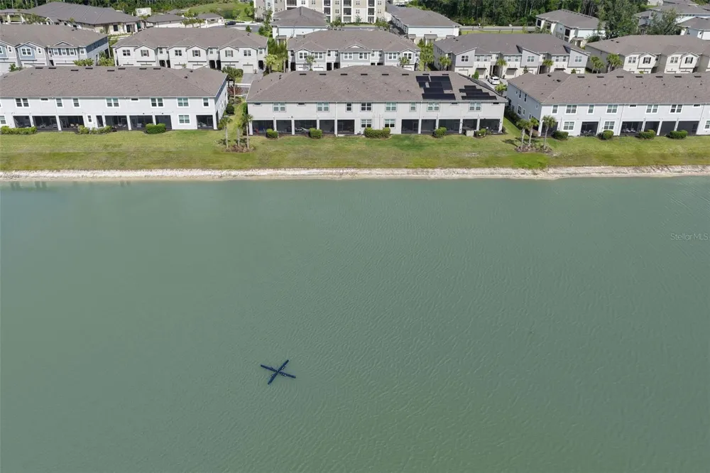 4317 CLOUD HOPPER WAY Lutz, FL 33559