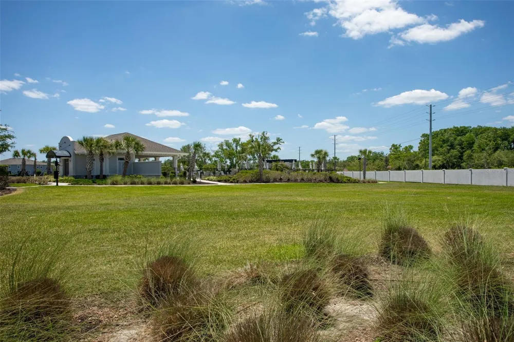 4317 CLOUD HOPPER WAY Lutz, FL 33559