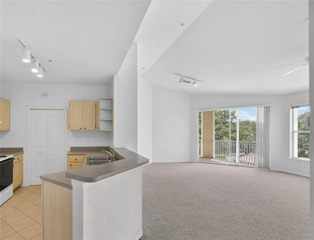 1100 LAKE SHADOW CIRCLE #2307 Maitland, FL 32751