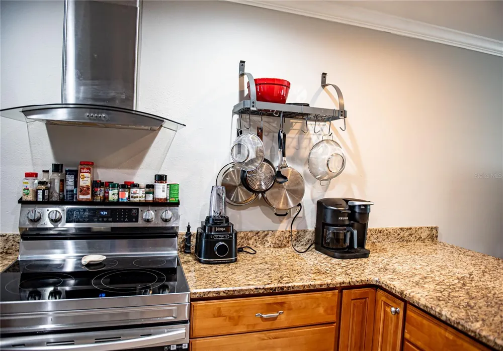 2651 MICHAEL PLACE #307 Dunedin, FL 34698