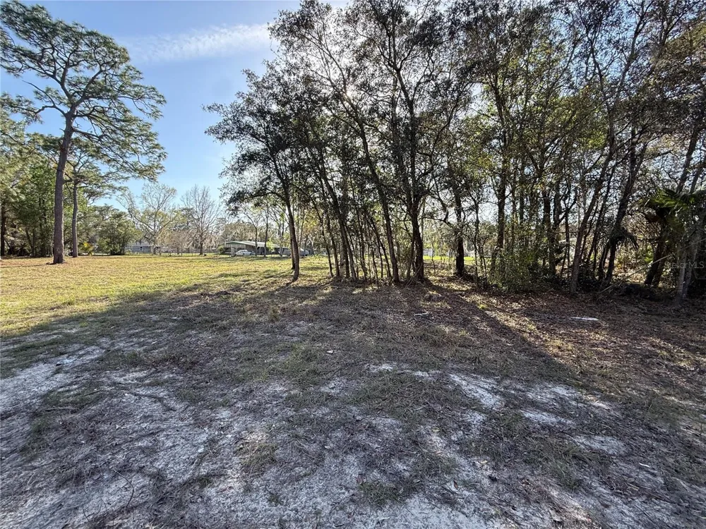 6479 W HOLIDAY STREET Homosassa, FL 34446