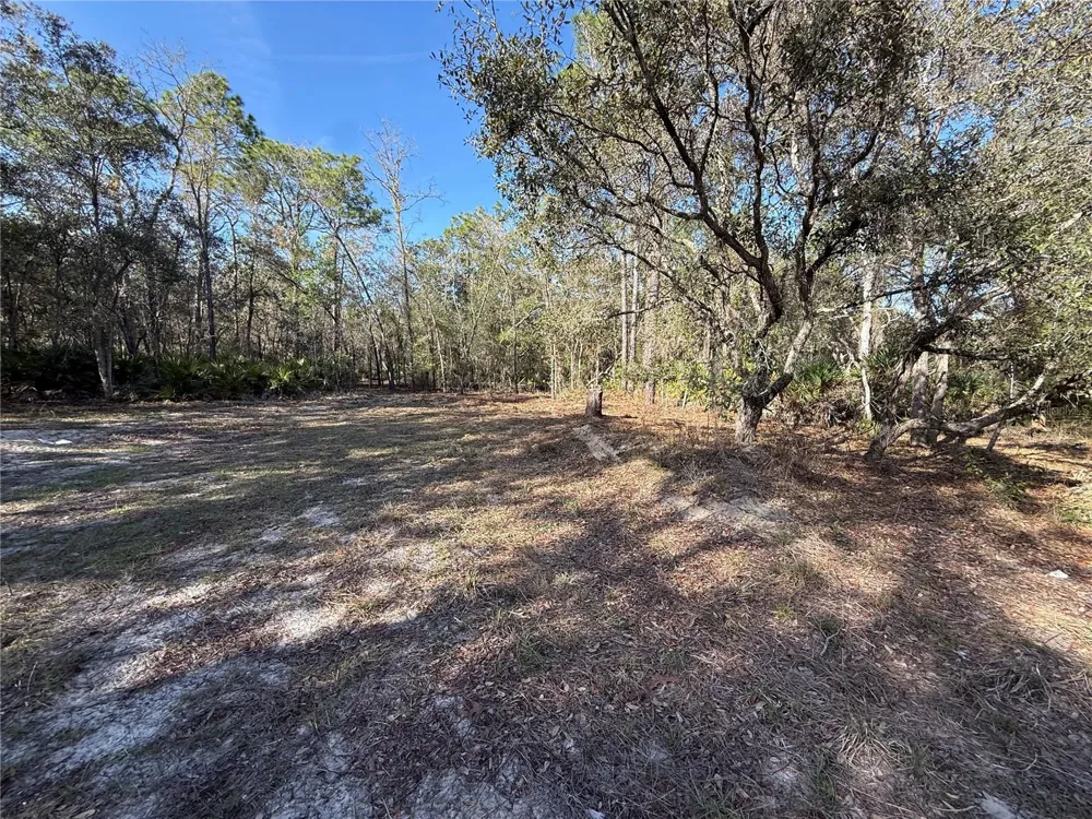 6479 W HOLIDAY STREET Homosassa, FL 34446