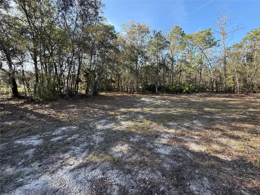 6479 W HOLIDAY STREET Homosassa, FL 34446