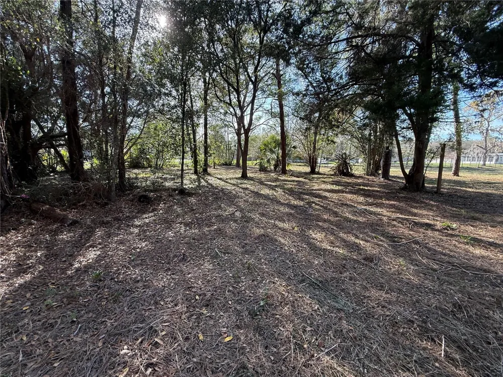 6479 W HOLIDAY STREET Homosassa, FL 34446