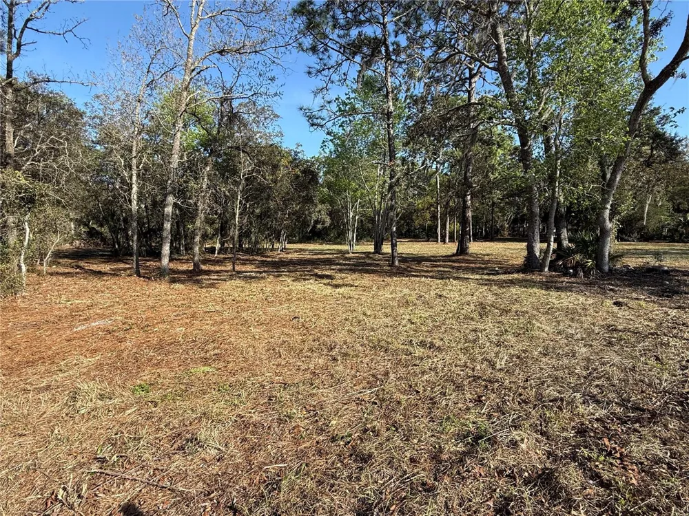6479 W HOLIDAY STREET Homosassa, FL 34446