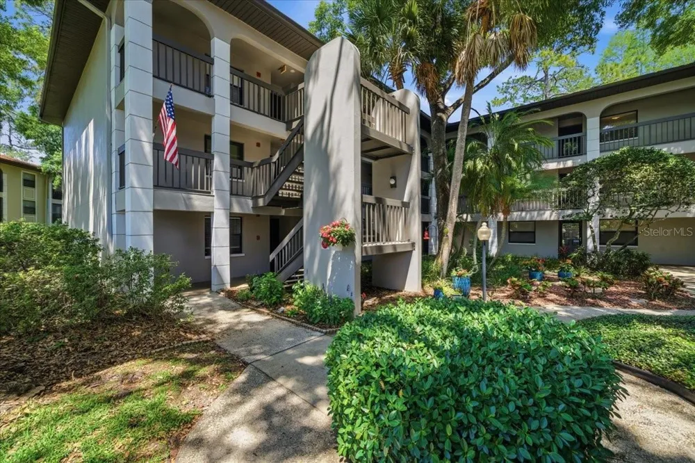 3399 MERMOOR DRIVE #101 Palm Harbor, FL 34685