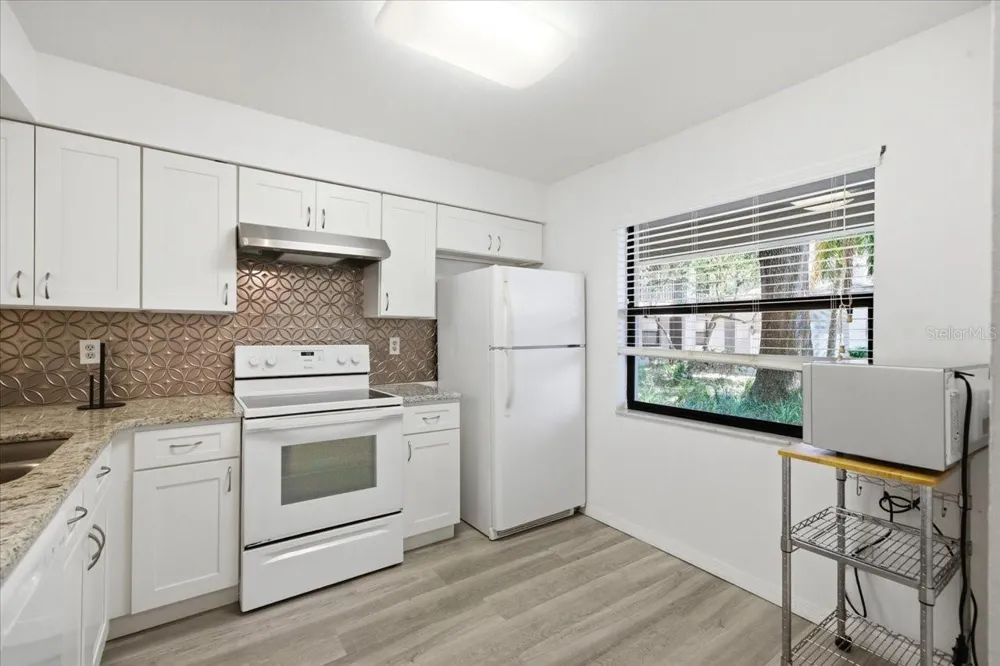 3399 MERMOOR DRIVE #101 Palm Harbor, FL 34685