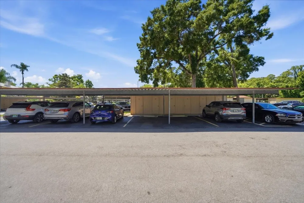 3399 MERMOOR DRIVE #101 Palm Harbor, FL 34685