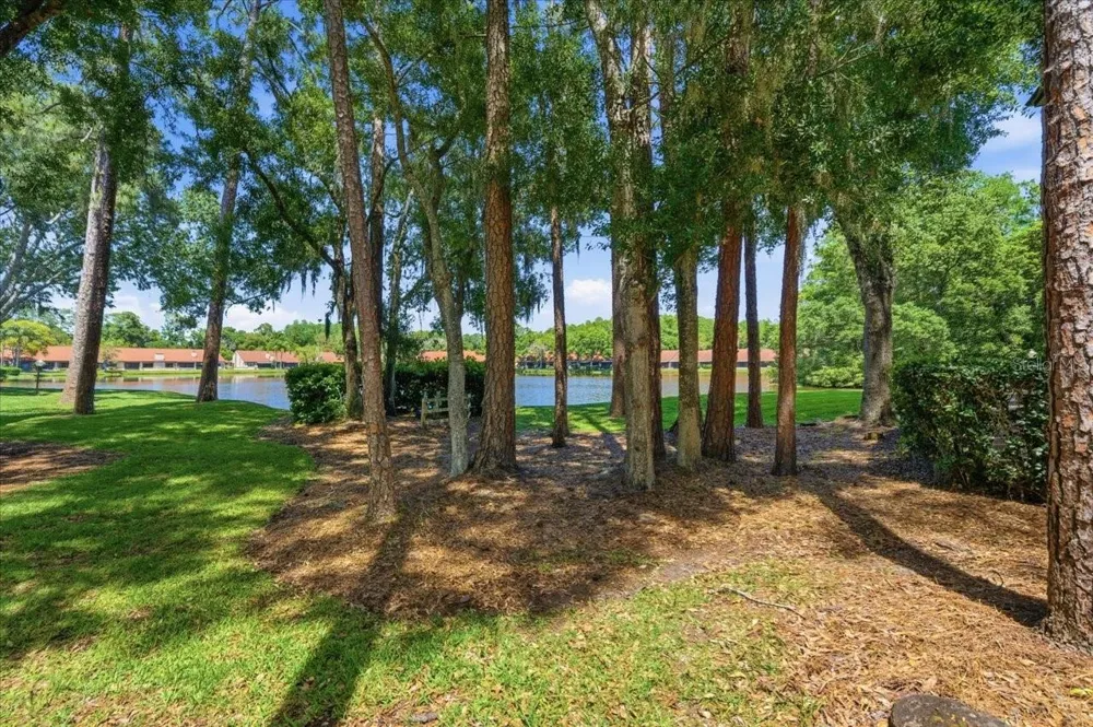3399 MERMOOR DRIVE #101 Palm Harbor, FL 34685