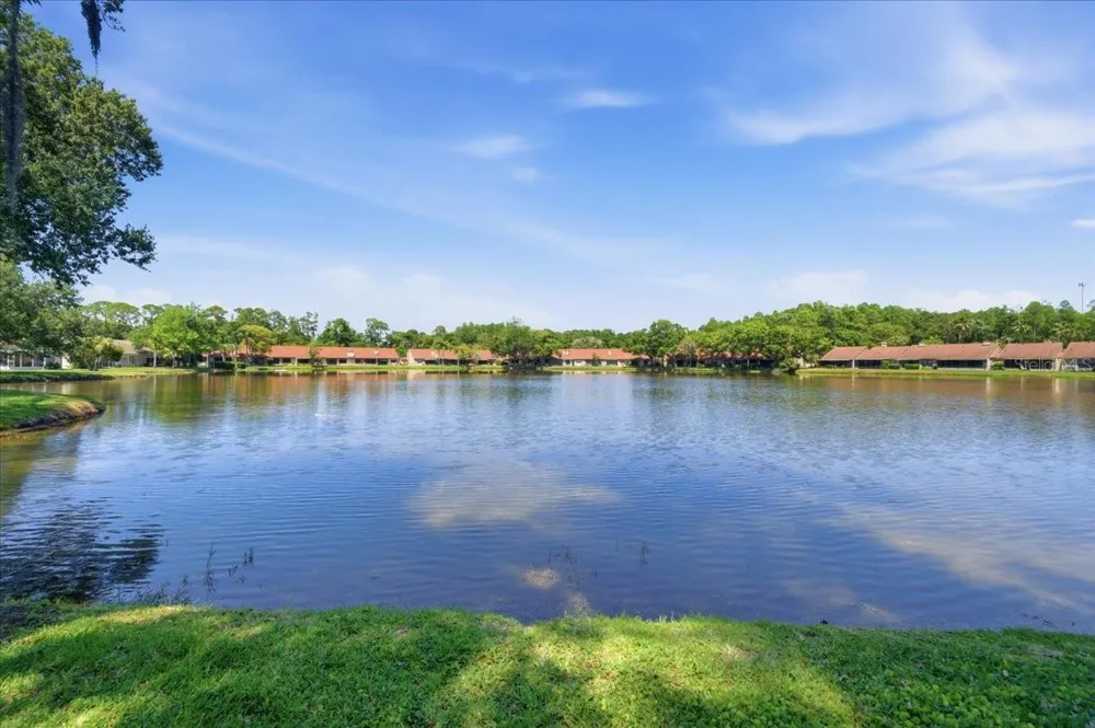 3399 MERMOOR DRIVE #101 Palm Harbor, FL 34685