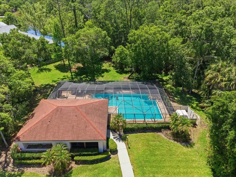 3399 MERMOOR DRIVE #101 Palm Harbor, FL 34685