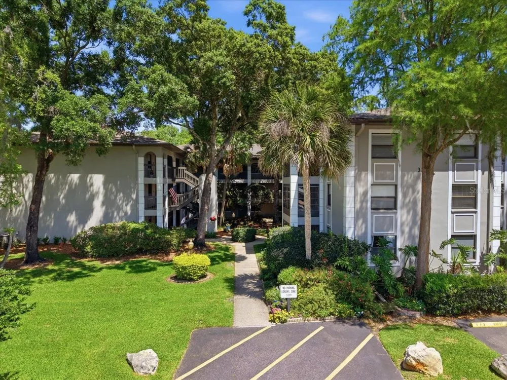 3399 MERMOOR DRIVE #101 Palm Harbor, FL 34685