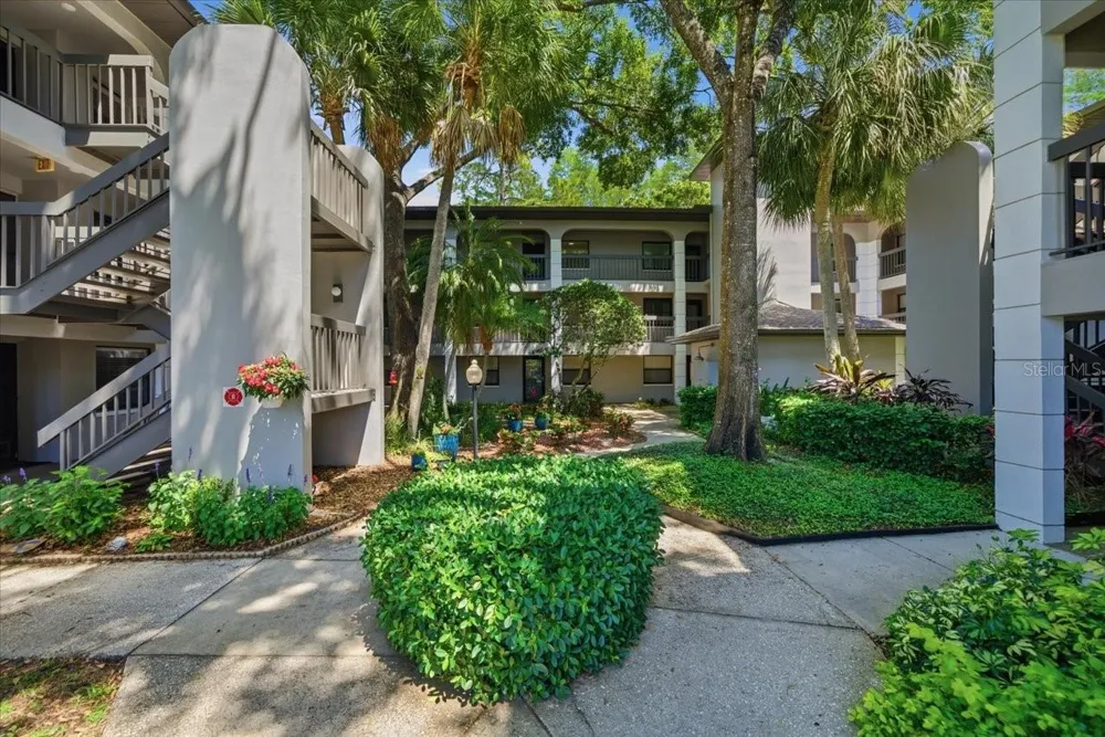 3399 MERMOOR DRIVE #101 Palm Harbor, FL 34685