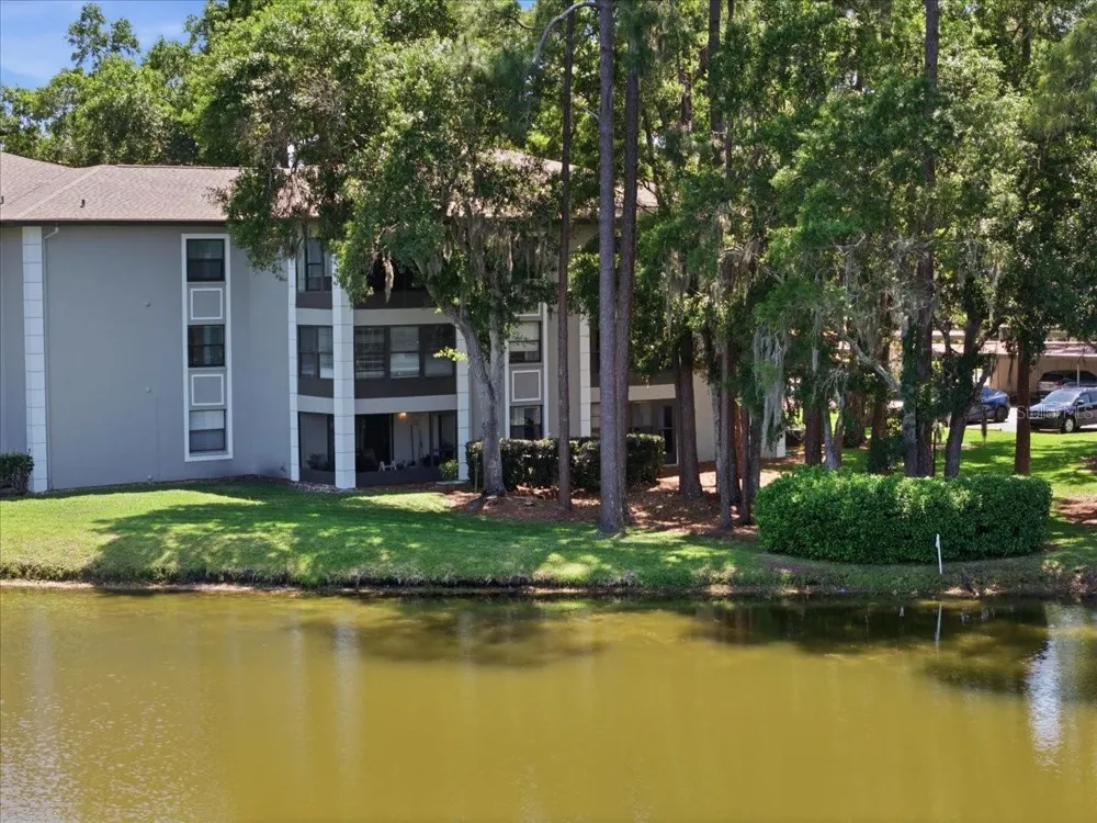 3399 MERMOOR DRIVE #101 Palm Harbor, FL 34685