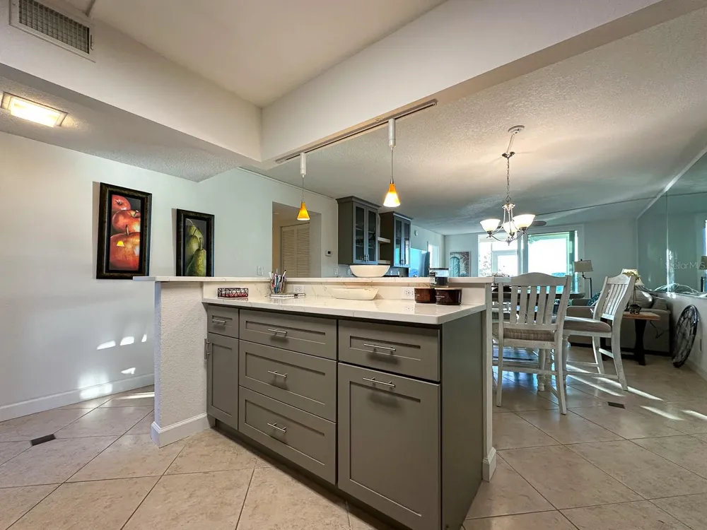 7920 SUN ISLAND DRIVE S #102 South Pasadena, FL 33707