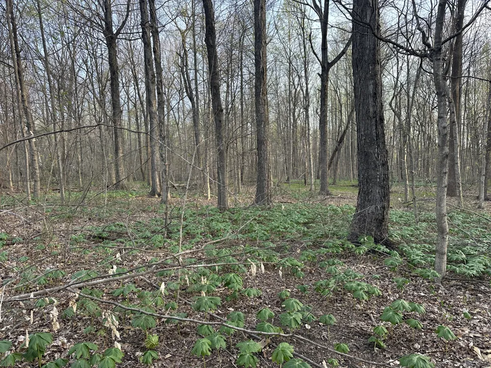 144 Fleming Rd Portland, TN 37148