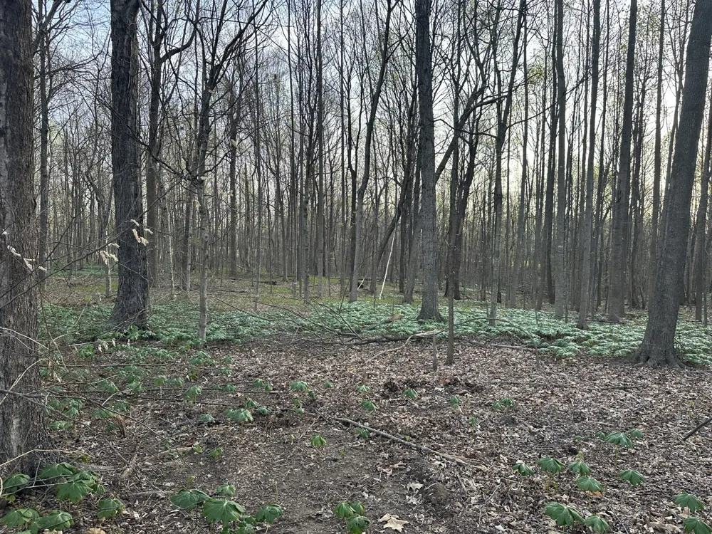 152 Fleming Rd Portland, TN 37148