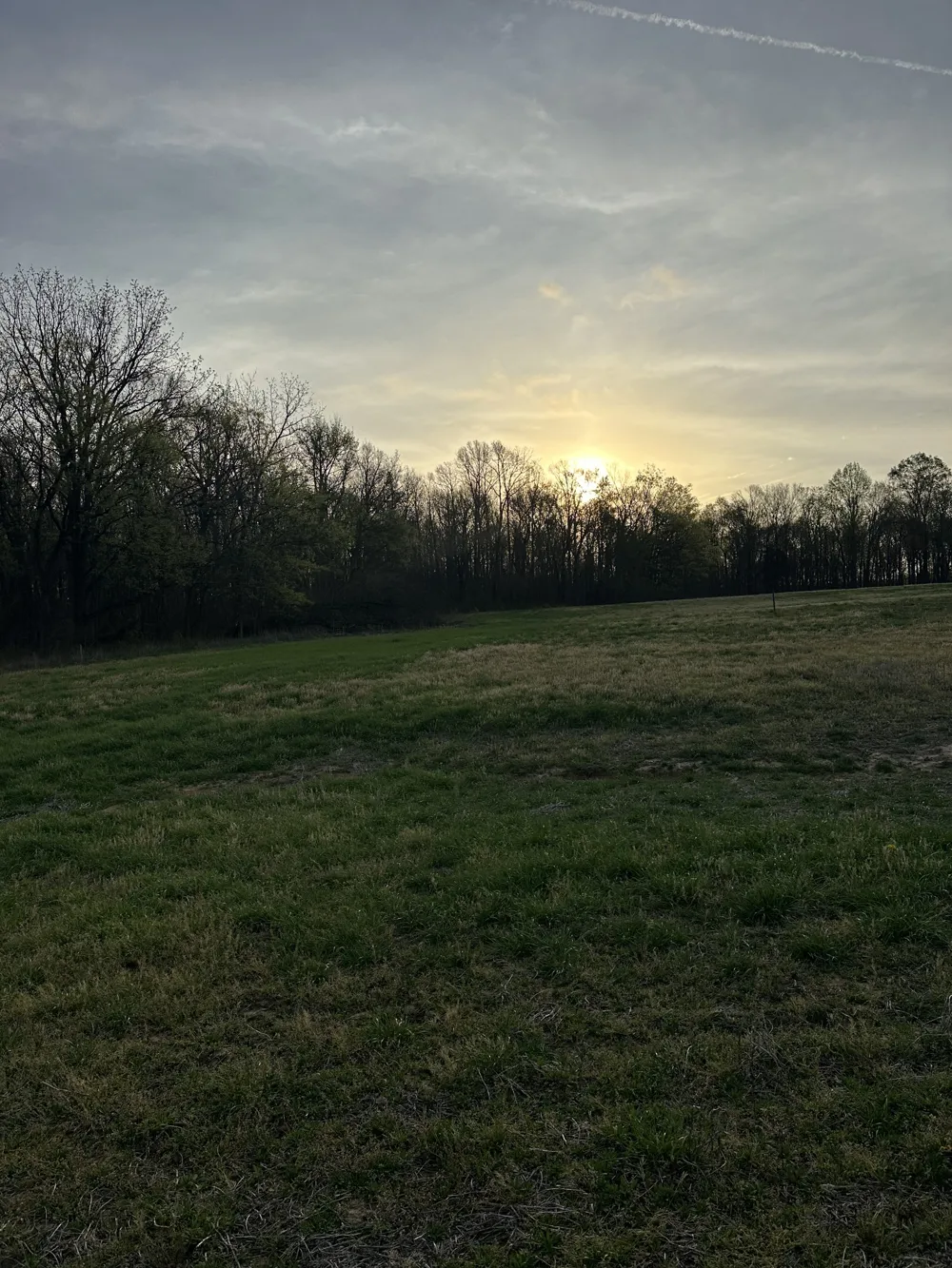 152 Fleming Rd Portland, TN 37148