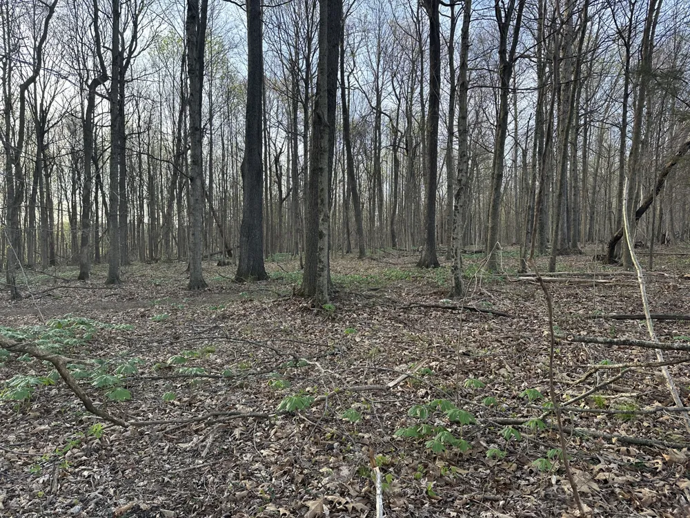 152 Fleming Rd Portland, TN 37148