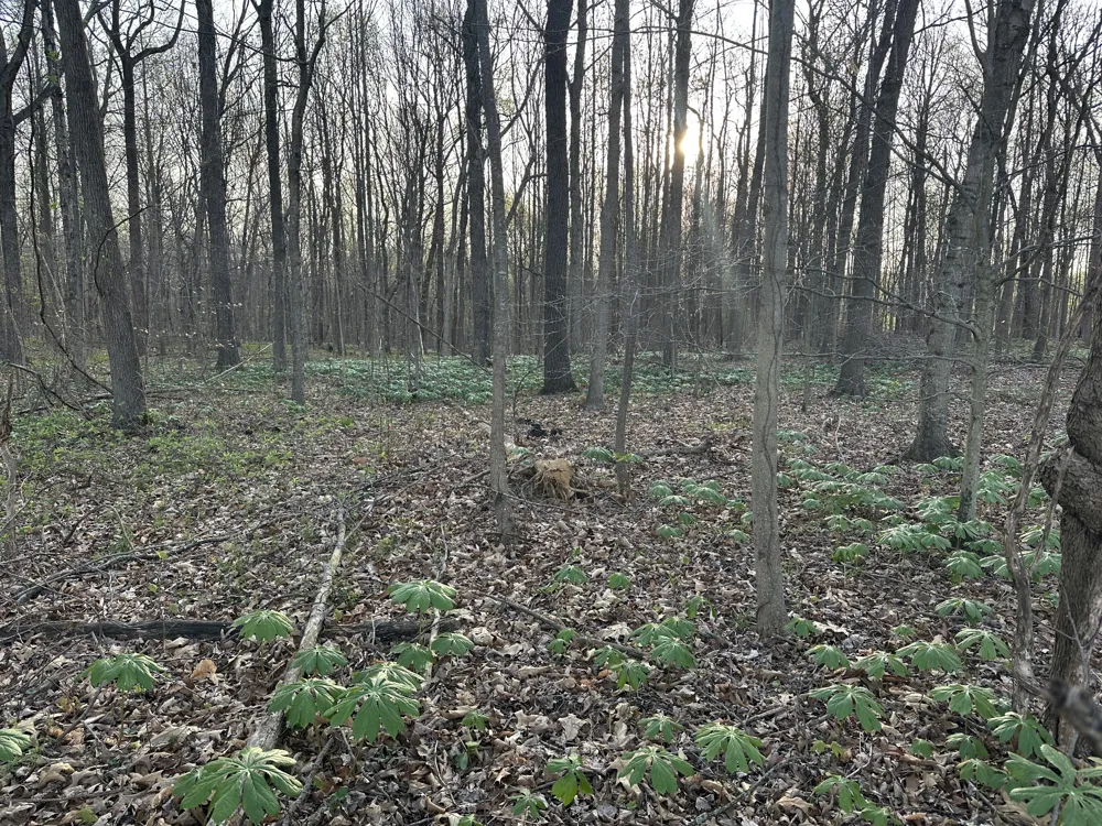 152 Fleming Rd Portland, TN 37148