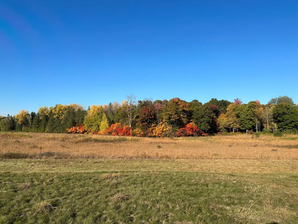 2230 Clubhouse Drive Lake City, MN 55041