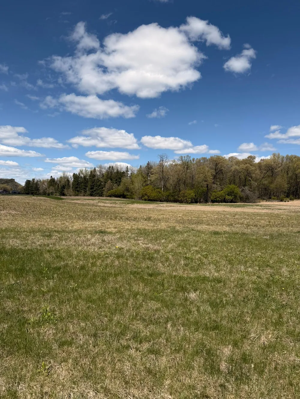 2230 Clubhouse Drive Lake City, MN 55041