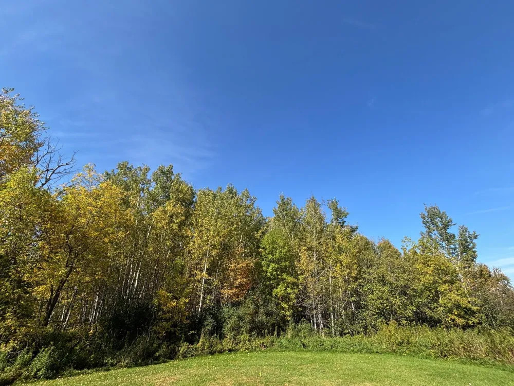 XXX Garfield Street Cloquet, MN 55720
