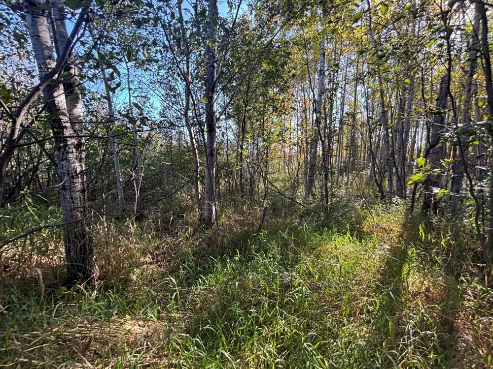 XXX Garfield Street Cloquet, MN 55720