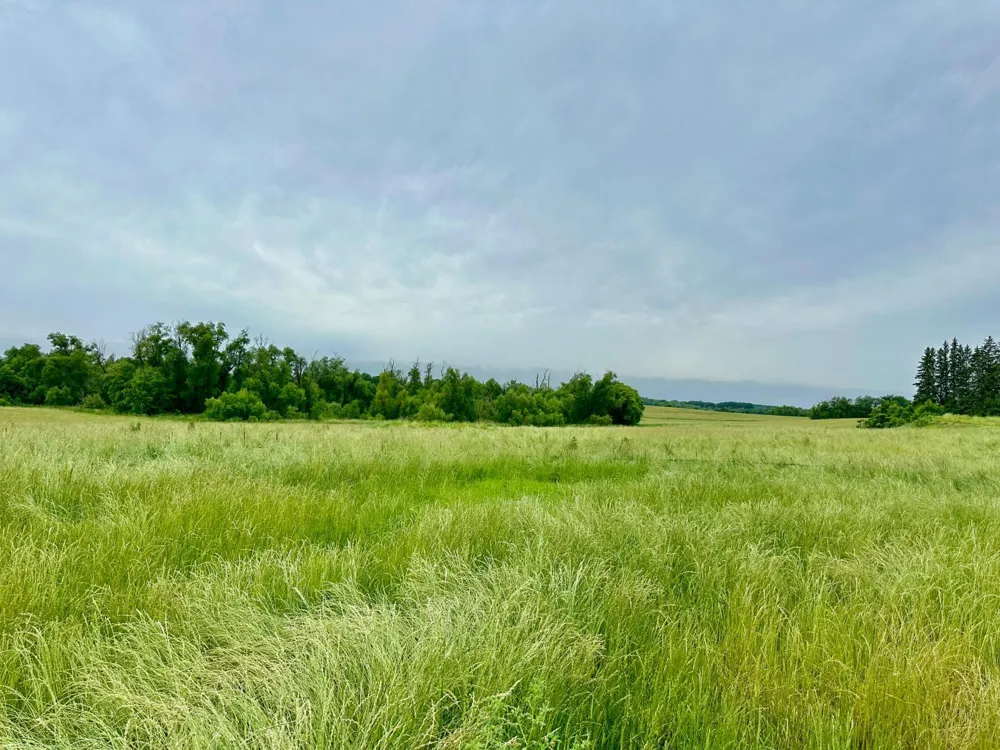 2535 Pioneer Trail Medina, MN 55340