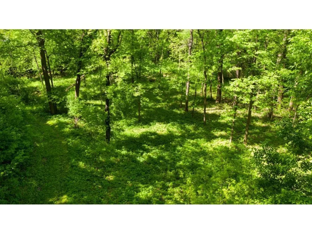 12991 Point Douglas Drive S Hastings, MN 55033