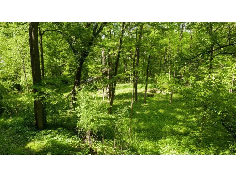 12991 Point Douglas Drive S Hastings, MN 55033