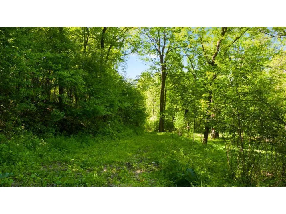 12991 Point Douglas Drive S Hastings, MN 55033
